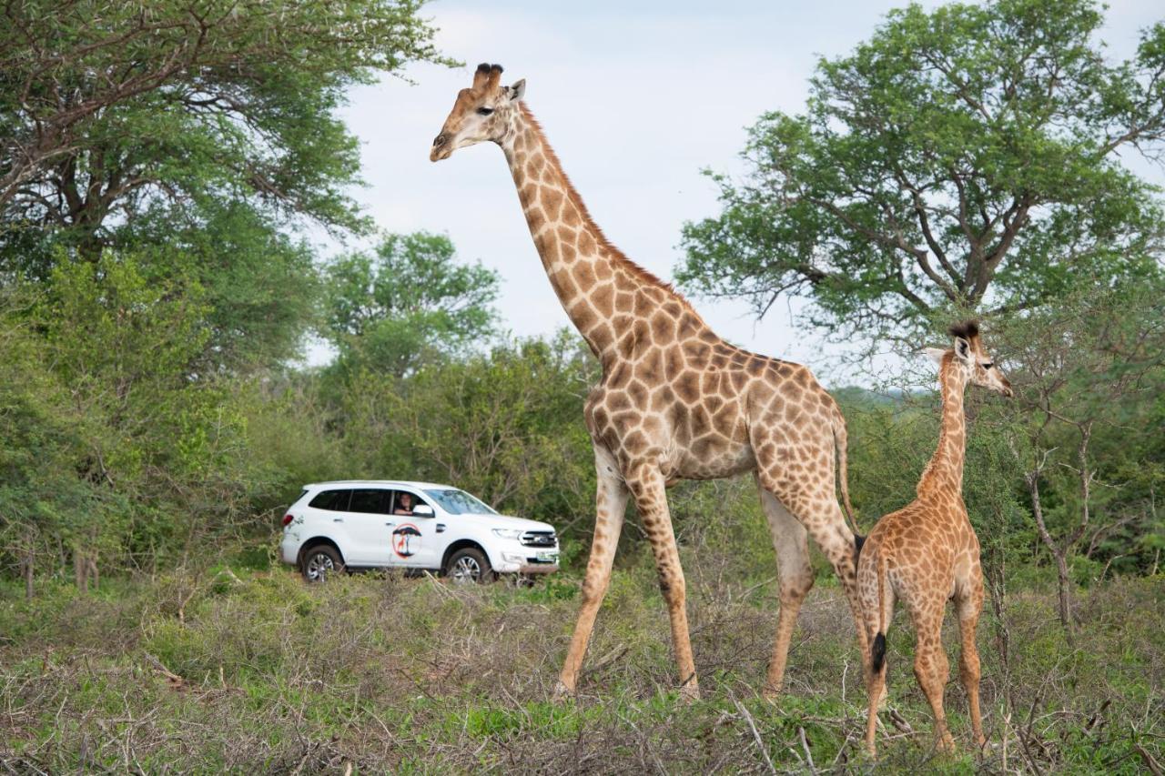 Twiga Travel Vila Hoedspruit Exterior foto
